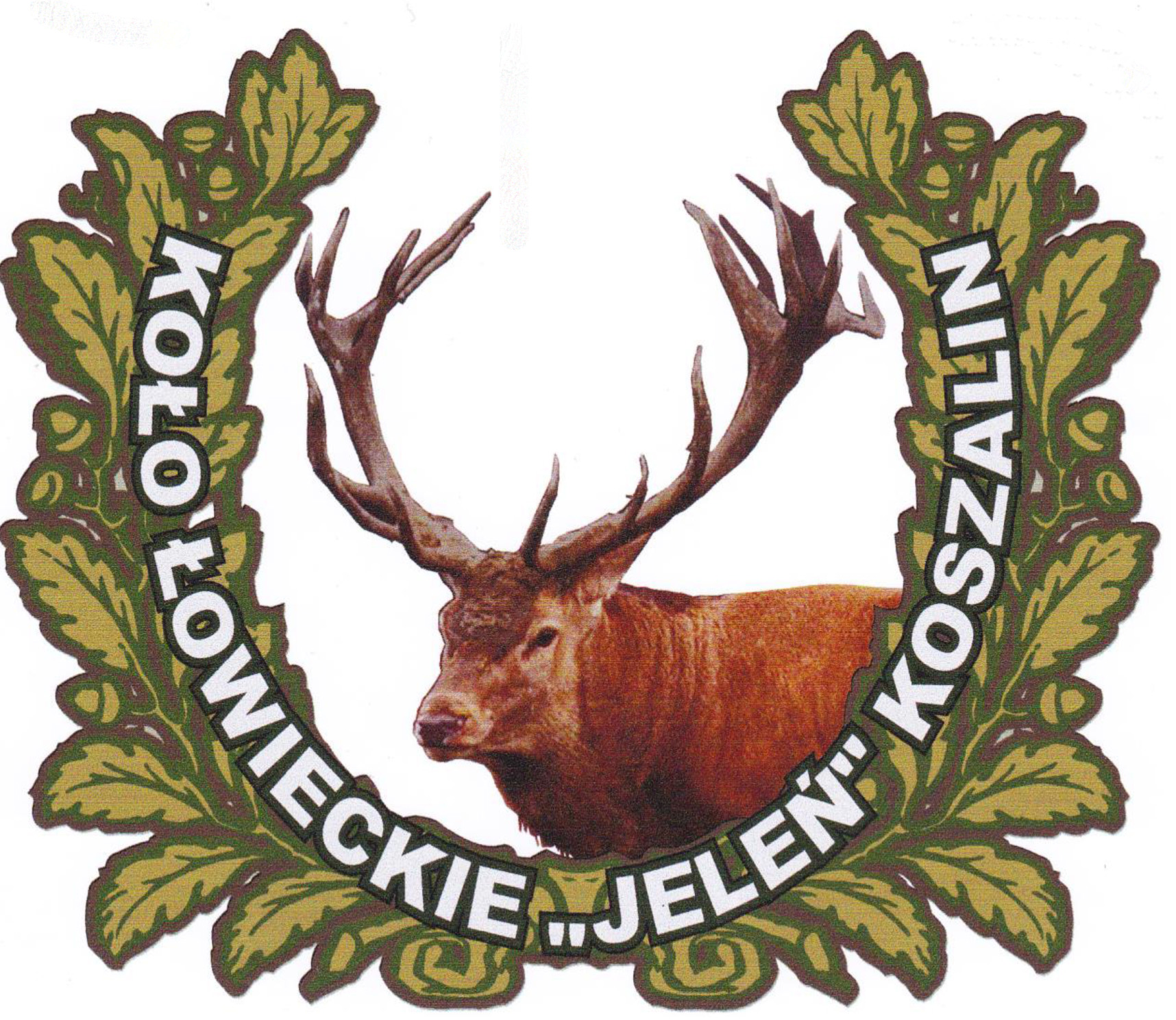 logo_3.jpg