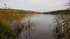 j14.jpg